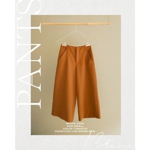 ZARA culottes